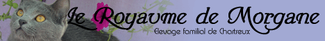 Le Royaume de Morgane