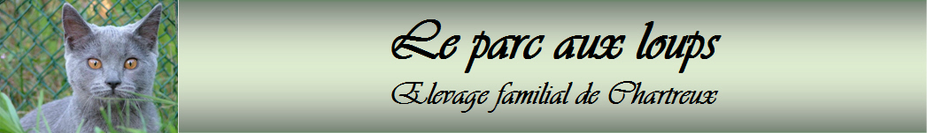 Banniere1